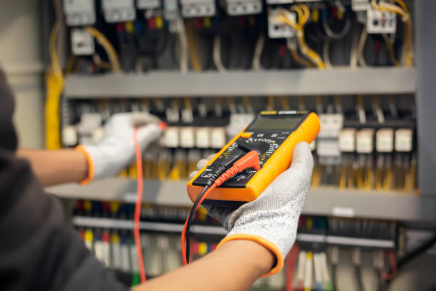 Best Electrical Safety Inspections  in Laingsburg, MI